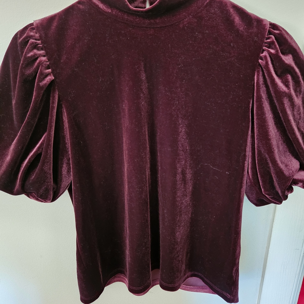 Laundry By Shelli Segal Velvet Burgundy Blouse